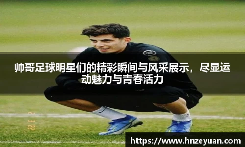 NG体育官方网站